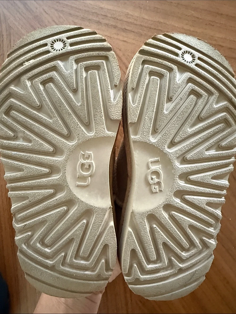 UGG cozy suede